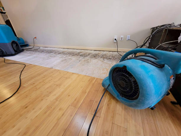 Professional Basement Flood Cleanup technician working in Maud, TX
